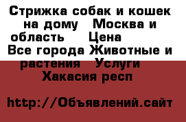 Стрижка собак и кошек на дому.  Москва и область.  › Цена ­ 1 200 - Все города Животные и растения » Услуги   . Хакасия респ.